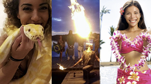 Caribische muziek Halle